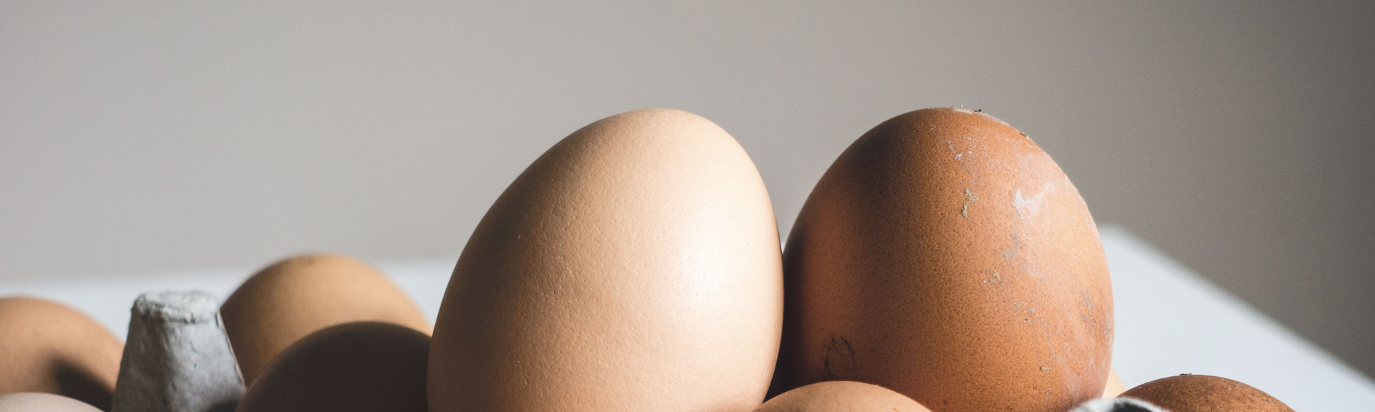 Asking artificial intelligence - The chicken or the egg?